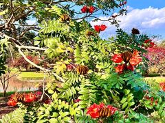 -中国科学院西双版纳热带植物园