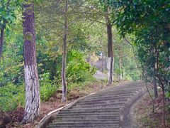 -火炉山森林公园