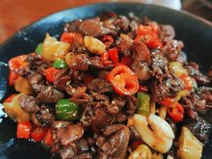 -邵年鸽(杨庄店)