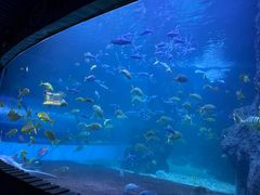 -左海海底世界