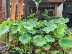 -聚福宝合苑食府(南头镇店)