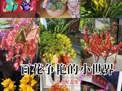 -溪岸路花鸟市场