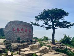 -王莽岭风景区