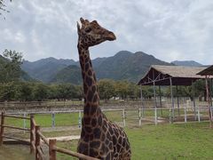 -西安秦岭野生动物园