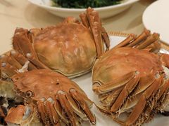 -王宝和酒家(黄浦店)