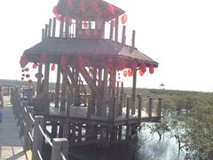 -北海金海湾红树林生态旅游区