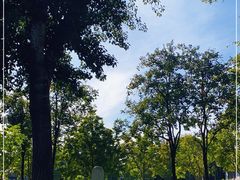 -国家图书馆·古籍馆