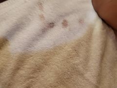 -清水湾假日酒店(行云路店)