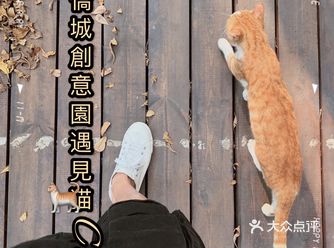 它们在这片园区里生活，从出生到长成