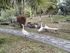 -宁波九龙湖开元度假村