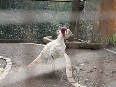 -成都欢乐谷