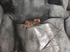 -二一九公园