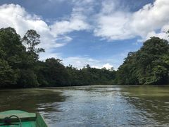 景点-乌鲁淡布隆国家公园