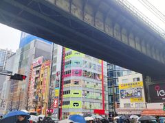 -秋叶原电器街
