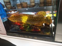 -百年尹氏汤包(湖南路狮子桥店)