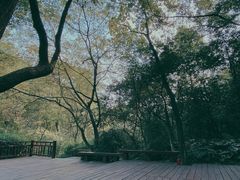 -杭州半山国家森林公园