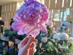 -二酉书店TOYOU BOOKS