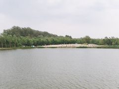 -东郊湿地公园