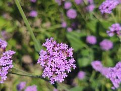 -祝甸砖窑文化馆