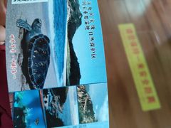 -广东惠东海龟国家级自然保护区