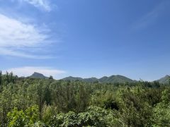 -西部长青自然儿童乐园