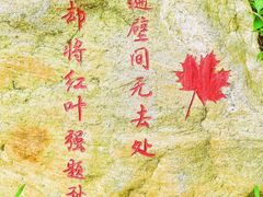 -广州市帽峰山景区