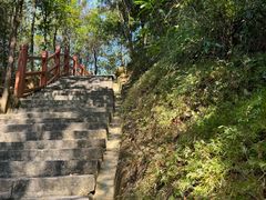 -广州白江湖森林公园