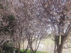 -西安汉城湖景区