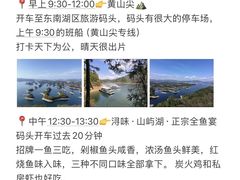 -浔味·山屿湖·正宗淳牌全鱼宴老字号
