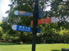 -陆家嘴中心绿地