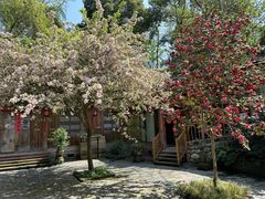 -石家庄市植物园