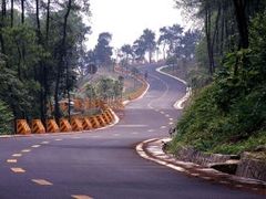 -铁山坪森林公园