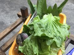 -章记正宗南岗鱼蛋火锅