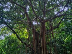 -人民公园(罗湖区)