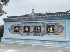 -青羊宫