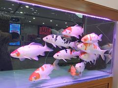 -水沐汇洗浴广场(香檀一号店)