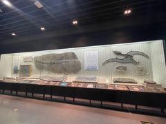 -浙江自然博物院(杭州馆)