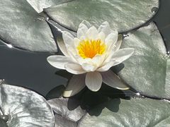 -关林