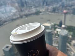 -上海中心大厦