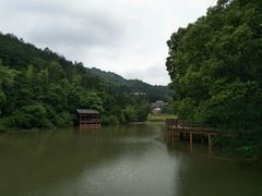 -洪崖丹井