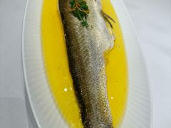 -巴音浩日娲酒楼(双林东路店)