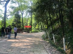 -重庆抗战遗址博物馆
