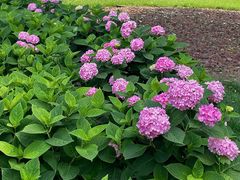 -常州古运河南大街文化旅游区-人民公园