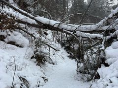 -峡谷浮石林景区