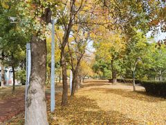 -同济大学(嘉定校区)