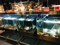 -璞御·海鲜·雪花牛肉局(宾水西道店)