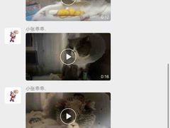 -初心动物医院