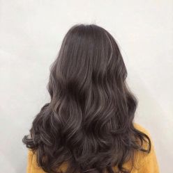 -环球蝶上美业连锁