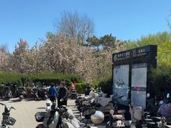 -元大都城垣遗址公园