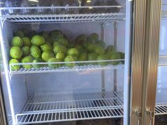 -雾与山茶(大禹城店)